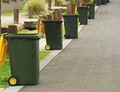 domestic wheelie bins